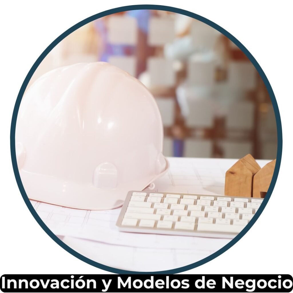 Innovación de Modelos de Negocio