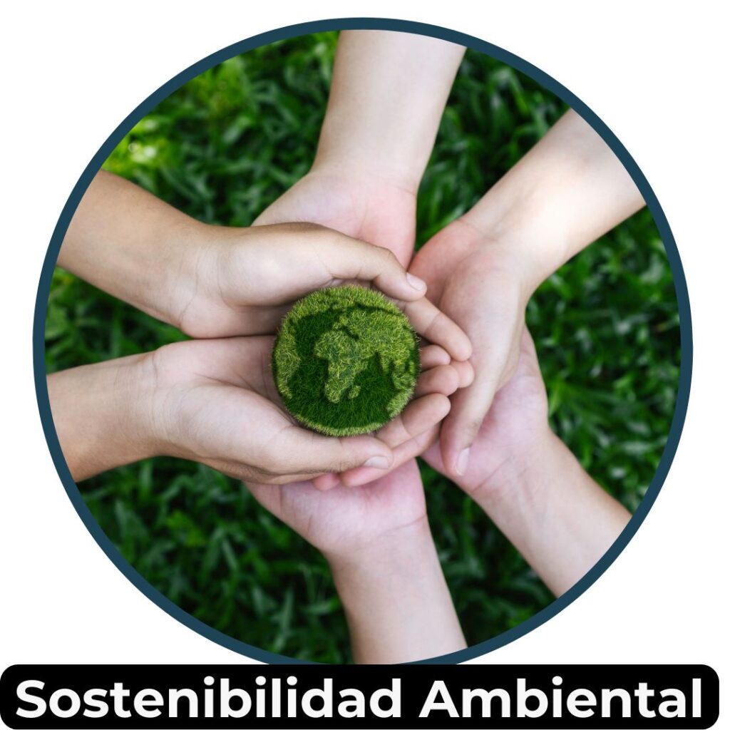 Sostenibilidad Ambiental